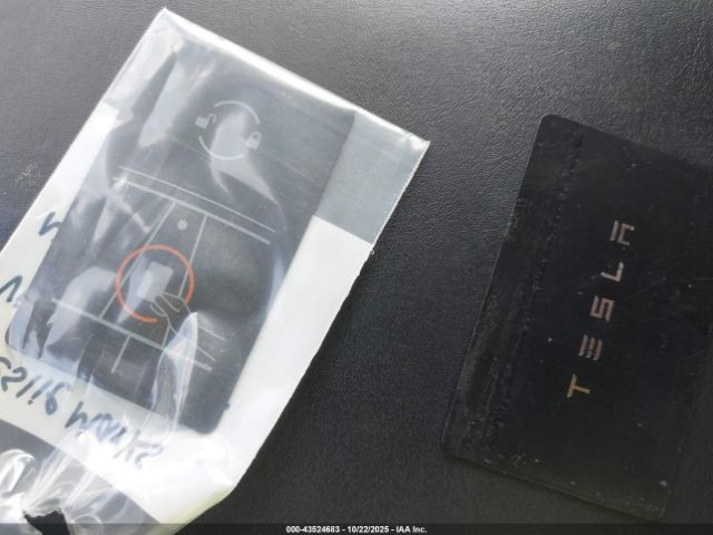 2023 TESLA MODEL Y 7SAYGDEE6PF631182 Photo 10