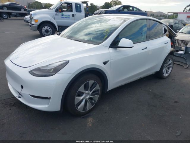 2023 TESLA MODEL Y 7SAYGDEE6PF631182 Photo 1