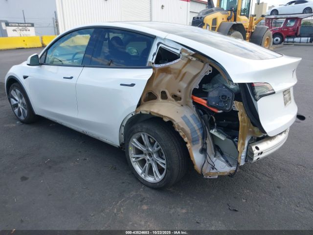 2023 TESLA MODEL Y 7SAYGDEE6PF631182 Photo 2