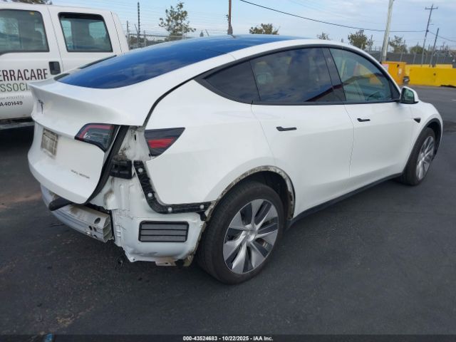 2023 TESLA MODEL Y 7SAYGDEE6PF631182 Photo 3