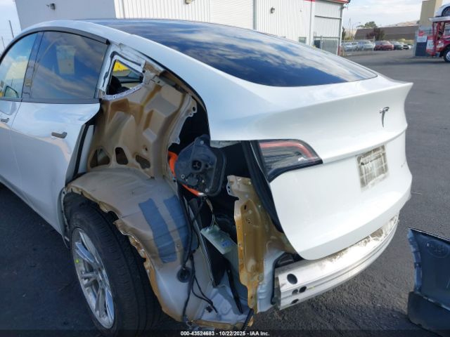 2023 TESLA MODEL Y 7SAYGDEE6PF631182 Photo 5