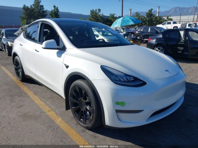 2021 TESLA MODEL Y 5YJYGDEE4MF098046 Photo 0