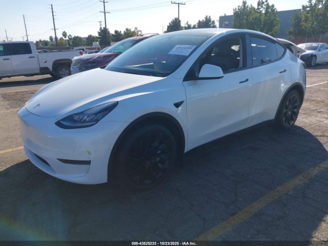 2021 TESLA MODEL Y 5YJYGDEE4MF098046 Photo 1