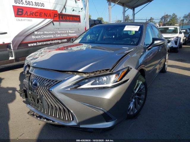 2019 LEXUS ES 300H 58AB21B12KU003738 Photo 1