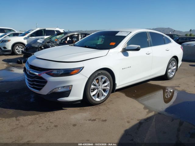 2019 CHEVROLET MALIBU 1G1ZD5ST5KF119252 Photo 1