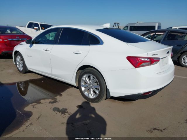 2019 CHEVROLET MALIBU 1G1ZD5ST5KF119252 Photo 2