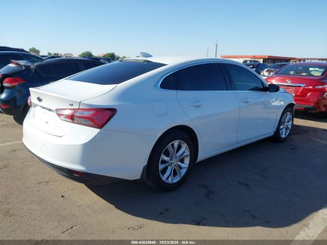 2019 CHEVROLET MALIBU 1G1ZD5ST5KF119252 Photo 3