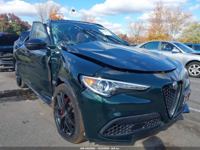 2021 ALFA ROMEO STELVIO ZASPAKBN4M7D15730