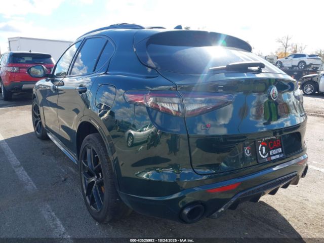 2021 ALFA ROMEO STELVIO ZASPAKBN4M7D15730 Photo 2