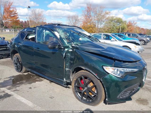 2021 ALFA ROMEO STELVIO ZASPAKBN4M7D15730 Photo 5