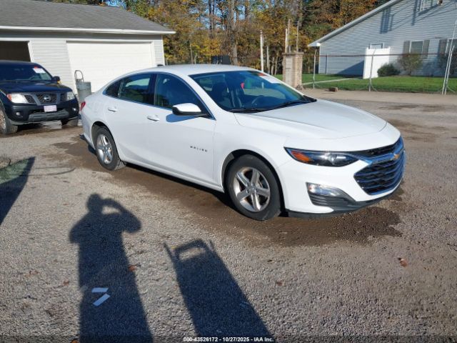 2020 CHEVROLET MALIBU 1G1ZC5ST8LF142061