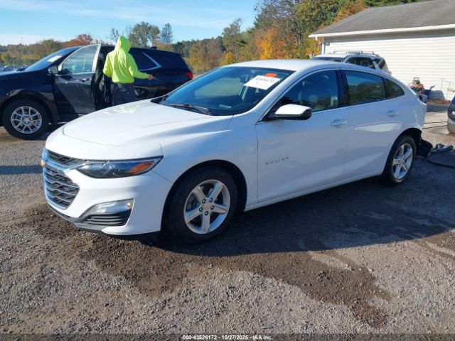 2020 CHEVROLET MALIBU 1G1ZC5ST8LF142061 Photo 1