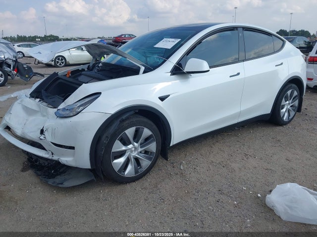 2023 TESLA MODEL Y 7SAYGDEE1PA095660 Photo 1