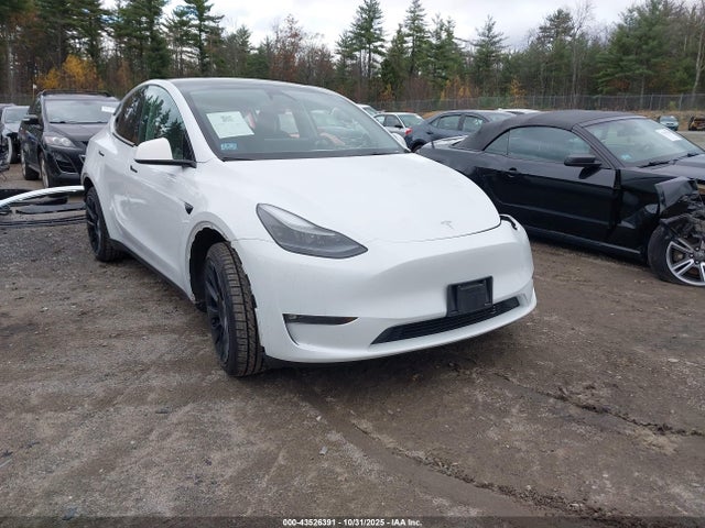 2024 TESLA MODEL Y 7SAYGAEEXRF152474 Photo 0