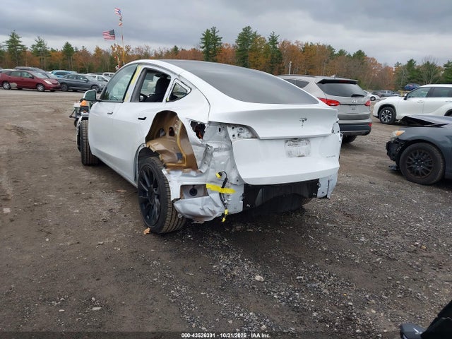 2024 TESLA MODEL Y 7SAYGAEEXRF152474 Photo 2