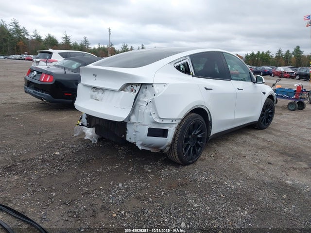 2024 TESLA MODEL Y 7SAYGAEEXRF152474 Photo 3
