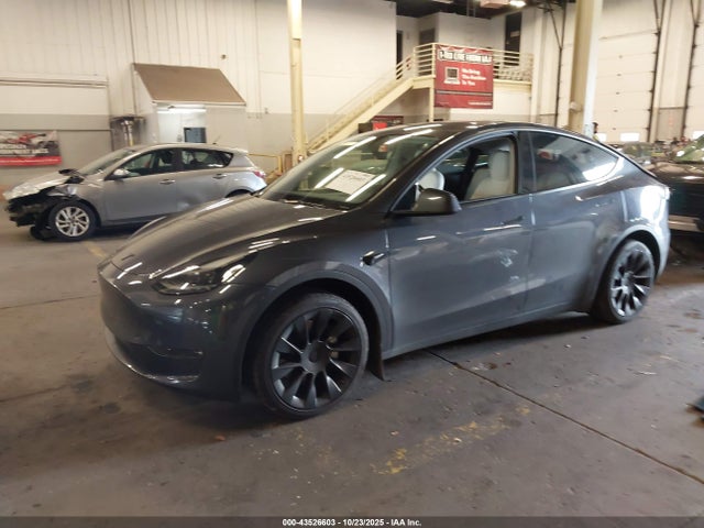 2023 TESLA MODEL Y 7SAYGAEE2PF921143 Photo 1