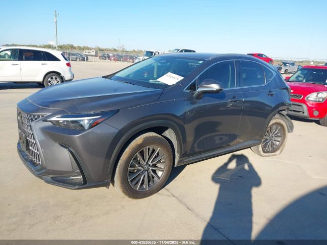 2025 LEXUS NX 250 2T2ADCAZ6SC020989 Photo 1
