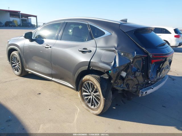 2025 LEXUS NX 250 2T2ADCAZ6SC020989 Photo 2