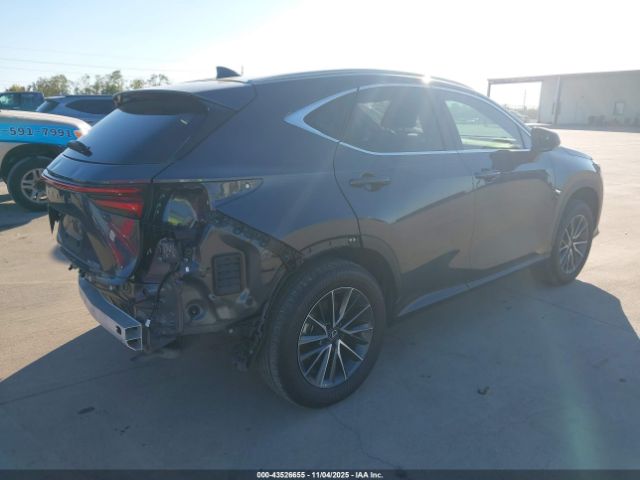 2025 LEXUS NX 250 2T2ADCAZ6SC020989 Photo 3