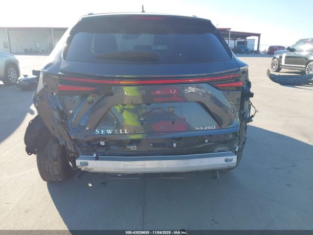 2025 LEXUS NX 250 2T2ADCAZ6SC020989 Photo 5