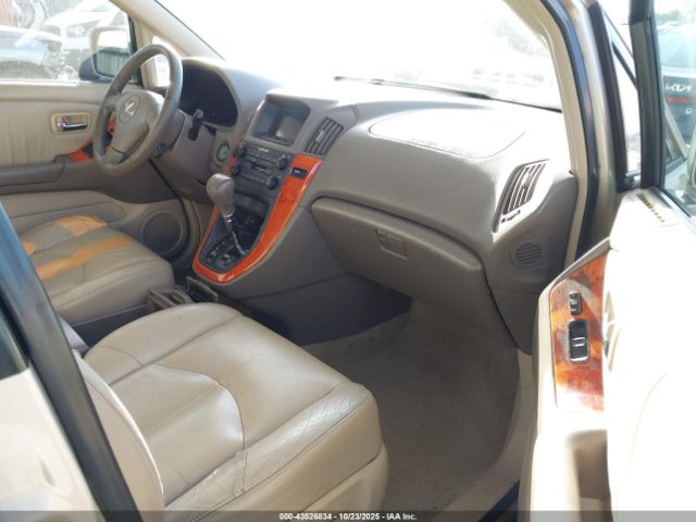 2002 LEXUS RX 300 JTJGF10U520138560 Photo 4