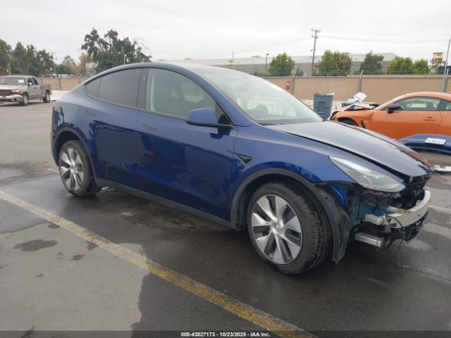 2024 TESLA MODEL Y 7SAYGDEE4RF988024