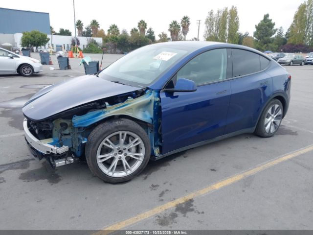 2024 TESLA MODEL Y 7SAYGDEE4RF988024 Photo 1
