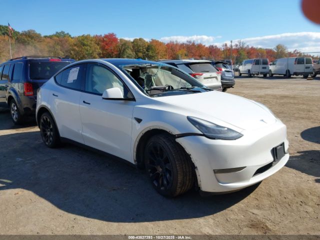 2022 TESLA MODEL Y 7SAYGDEE0NF379863 Photo 0
