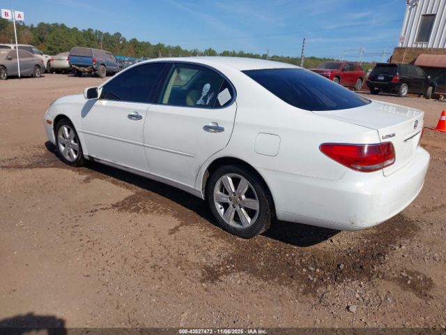 2006 LEXUS ES 330 JTHBA30G265144275 Photo 2