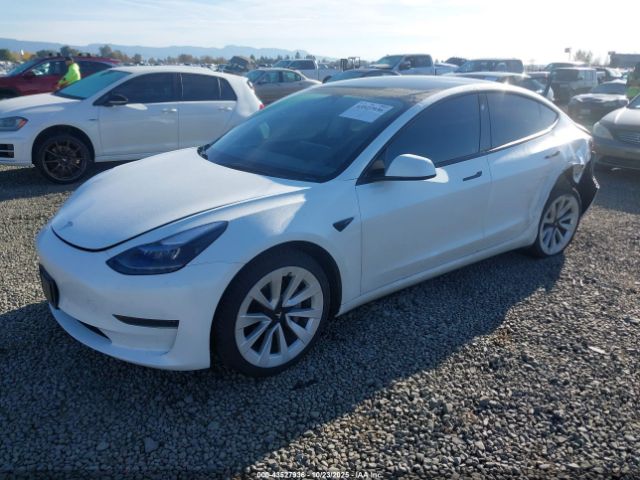 2023 TESLA MODEL 3 5YJ3E1EA6PF450897 Photo 1