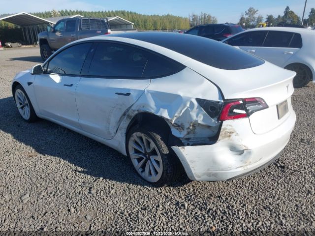 2023 TESLA MODEL 3 5YJ3E1EA6PF450897 Photo 2