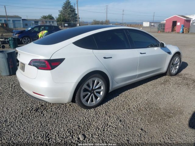2023 TESLA MODEL 3 5YJ3E1EA6PF450897 Photo 3