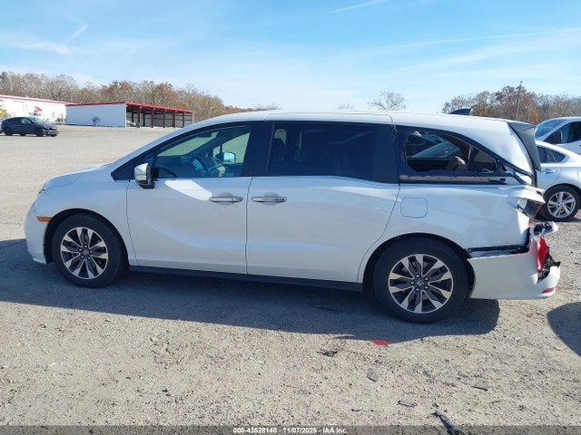 Aukcja sprzedaży 2024 Honda Odyssey Ex-l, vin: 5FNRL6H62RB005838, numer aukcji: 43528140