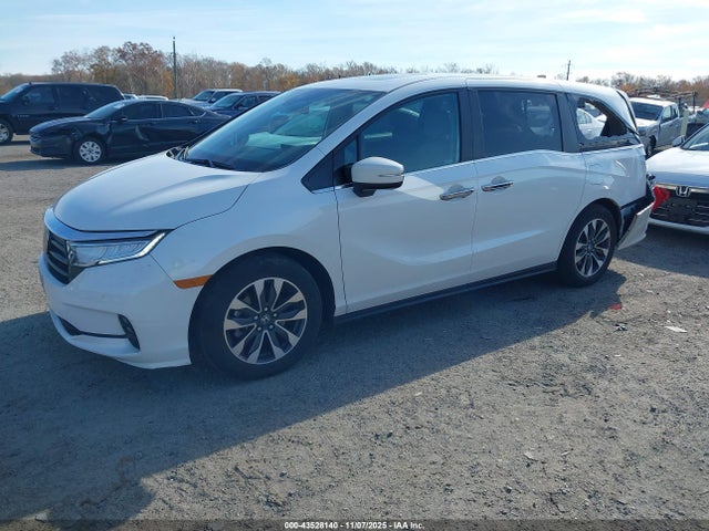 Aukcja sprzedaży 2024 Honda Odyssey Ex-l, vin: 5FNRL6H62RB005838, numer aukcji: 43528140
