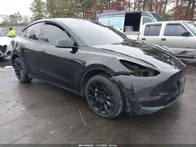 2023 TESLA MODEL Y 7SAYGDEE2PA176229 Photo 0
