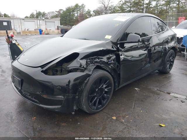 2023 TESLA MODEL Y 7SAYGDEE2PA176229 Photo 1