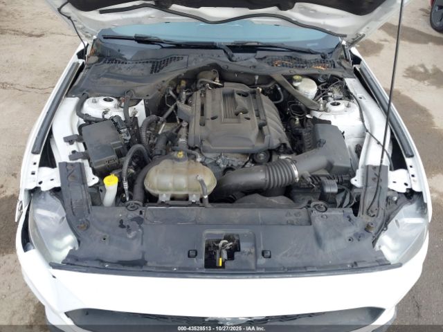 2019 FORD MUSTANG 1FATP8UH9K5193445 Photo 9