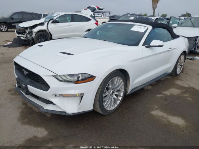 2019 FORD MUSTANG 1FATP8UH9K5193445 Photo 1