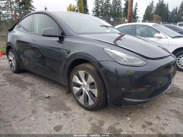 2024 TESLA MODEL Y 7SAYGDEE1RF070280