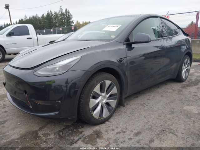 2024 TESLA MODEL Y 7SAYGDEE1RF070280 Photo 1