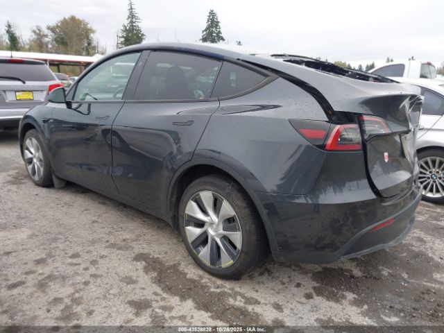 2024 TESLA MODEL Y 7SAYGDEE1RF070280 Photo 2