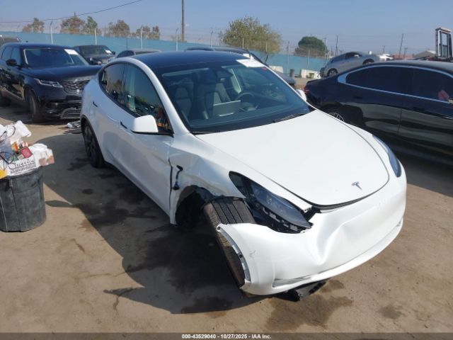 2024 TESLA MODEL Y 7SAYGDED5RF111095