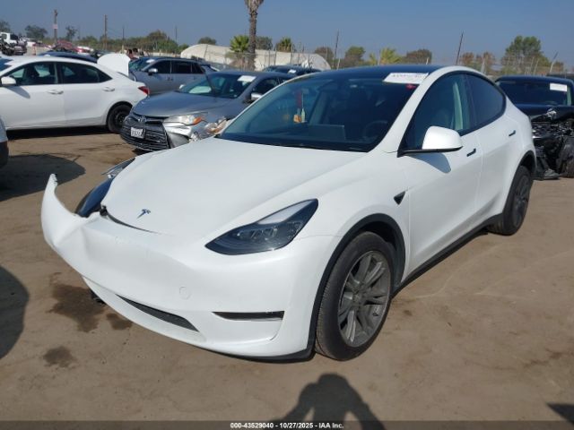 2024 TESLA MODEL Y 7SAYGDED5RF111095 Photo 1