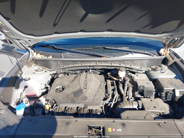 Hyundai TUCSON SEL 2024 5NMJBCDE2RH295640 Image 10