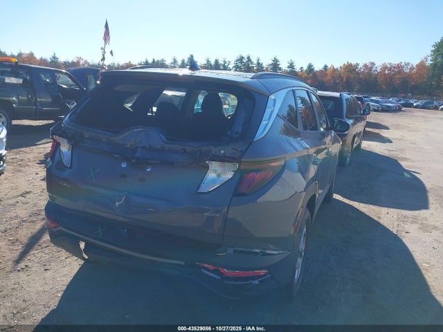 Hyundai TUCSON SEL 2024 5NMJBCDE2RH295640 Image 12