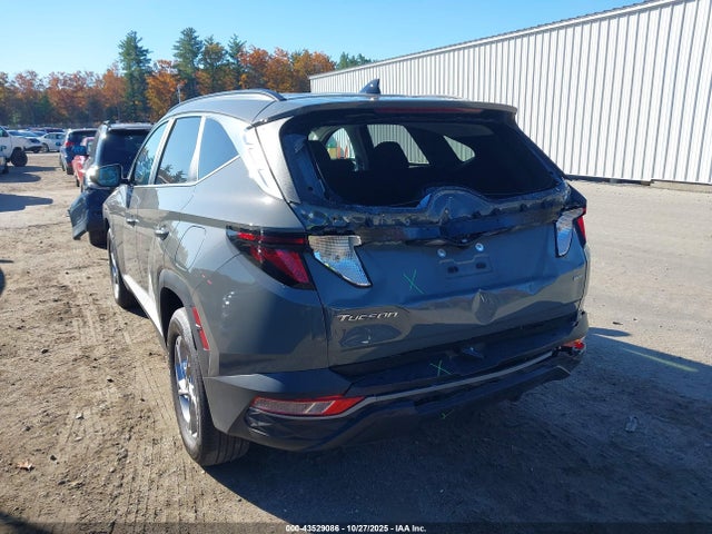 Hyundai TUCSON SEL 2024 5NMJBCDE2RH295640 Image 6