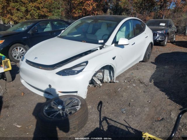 2025 TESLA MODEL Y 7SAYGDED3SA377573 Photo 5