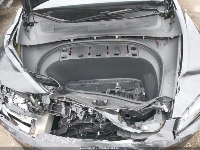 2024 TESLA MODEL 3 5YJ3E1EB5RF795124 Photo 9