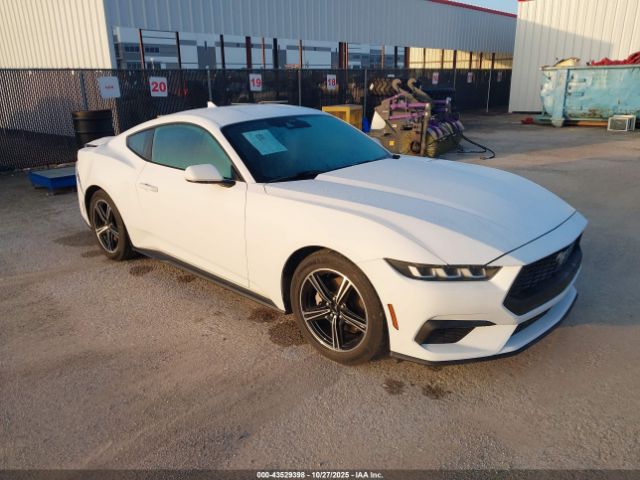 2024 FORD MUSTANG 1FA6P8TH0R5105570